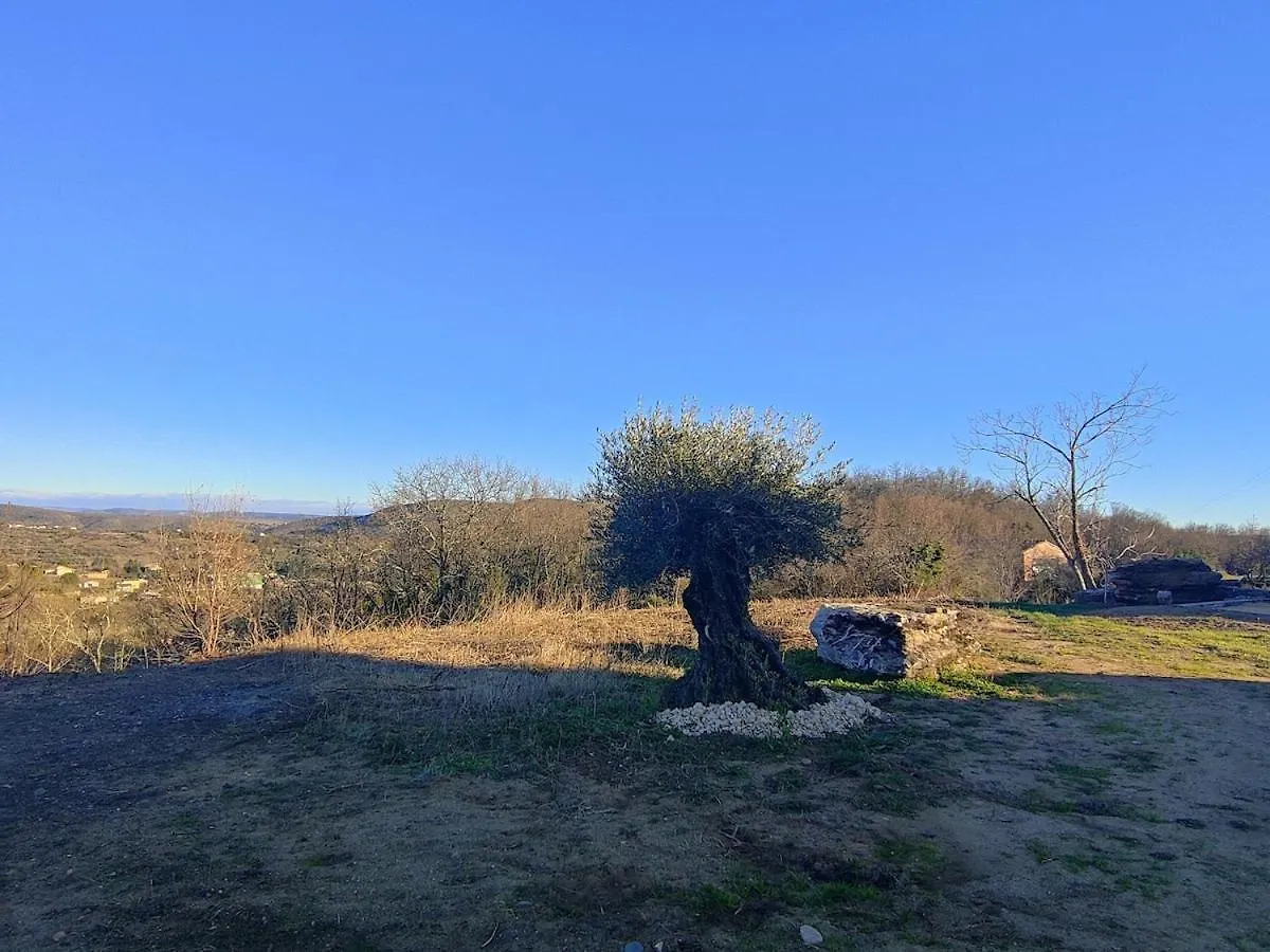 Holiday home Villa Olivia, Sud Ardeche Montreal